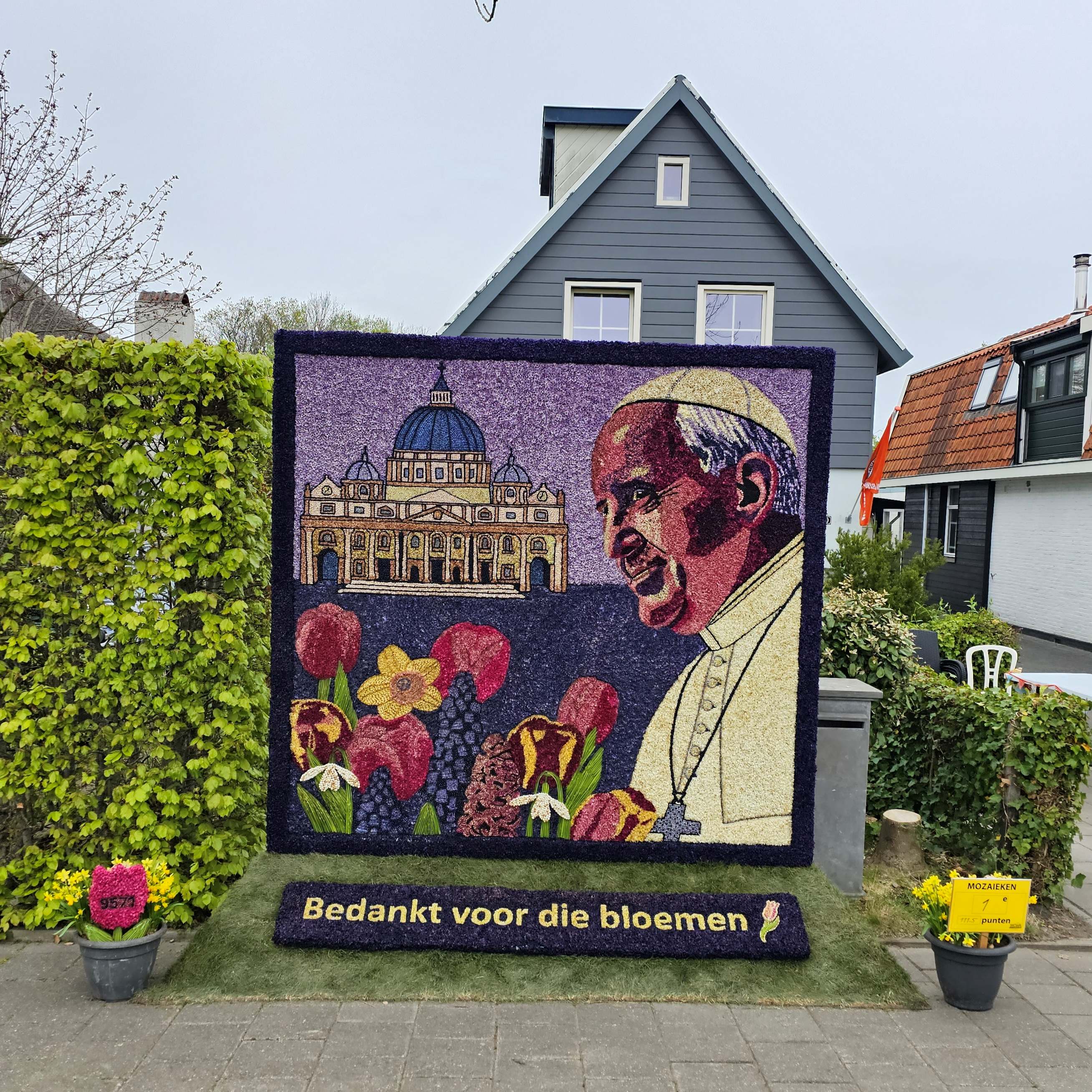 Bloembollen Paus
